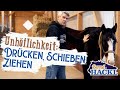 Warum Das Pferd Schiebt Und Drückt Bernd Hackl Erklärt