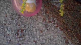 BELOW-FI PROBLEM CHILD - ROY ORBISON COVER - UNDER THE COVERS 2012 - TBR THIS SPRING