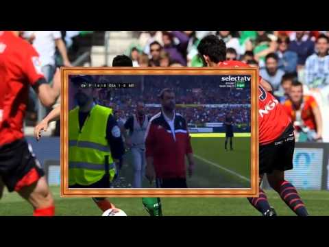 Se cae una valla en el Osasuna - Betis tras el gol de Oriol Riera.