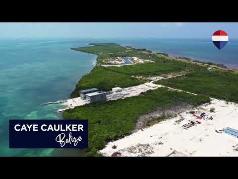 img-video