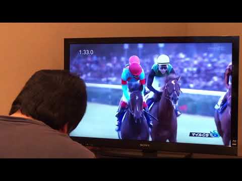 2019.11.17   マイルチャンピオンS   インディチャンプ