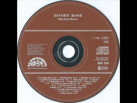 Pavel Šváb a Bohumír Starka - Hvězda na vrbě [1993 CD Records]