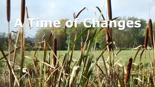 Magna Carta - The Whole Story 7/11 - A Time of Changes