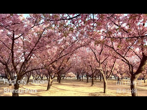 親水公園（Shinsui Park）山口県萩市（Hagi City,JAPAN）