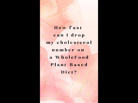 15 de novembro de 2023