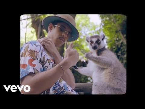 Domi - Gato Por Lebre