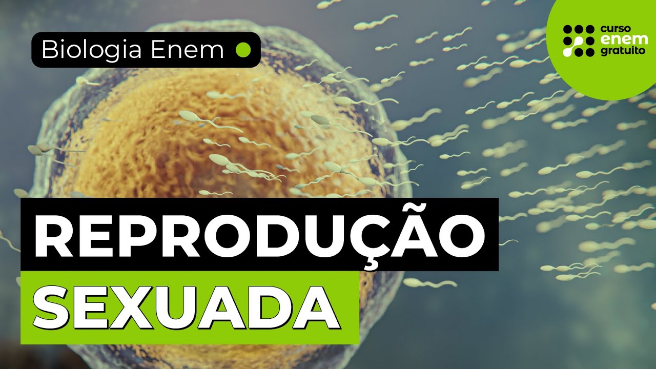 REPRODUÇÃO SEXUADA: VANTAGENS E DESVANTAGENS | Resumo de Biologia para o Enem