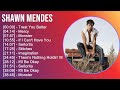 Shawn Mendes 2025 MIX Best Song Of All Time Treat You Better Mercy Monster If I Can T Have You