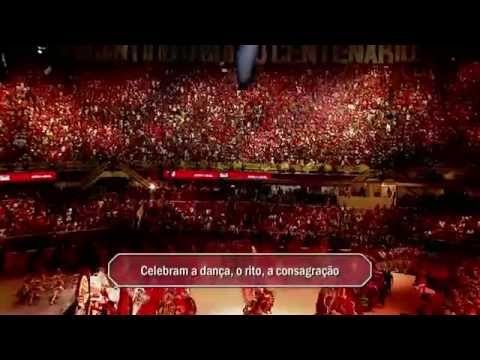 BOI GARANTIDO - FESTIVAL DE PARINTINS 2014