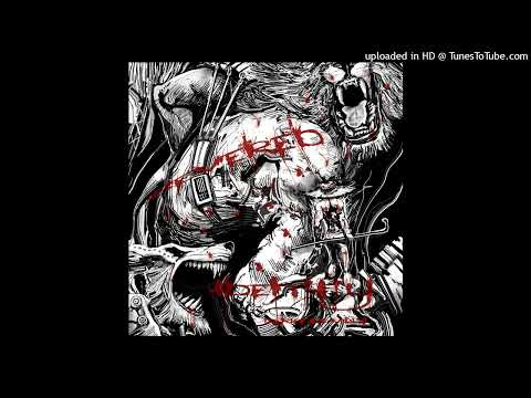 chocoxina - play for bugs and a girl