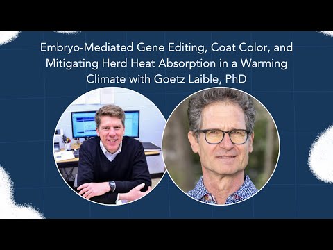 Dairy Digressions S2, Ep13 | Gene Editing, Coat Color, & Herd Heat Absorption w/ Goetz Laible, PhD