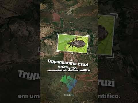 Foi no Sertão de Minas que Nasceu Uma das Maiores Descobertas Médicas