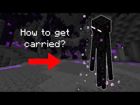 How to get carried on T4 Voidgloom Seraphs | Hypixel Skyblock