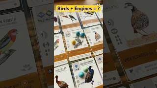 Birds + Engines = ? #boardgames #games #youtubegaming