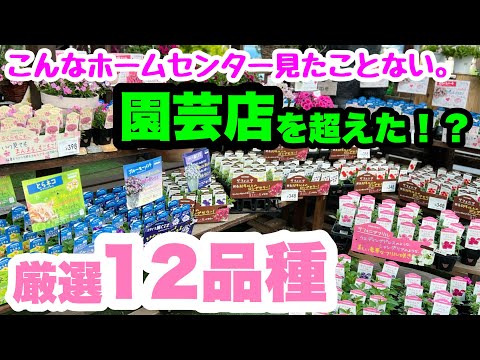 園芸 アウトドアプーフ