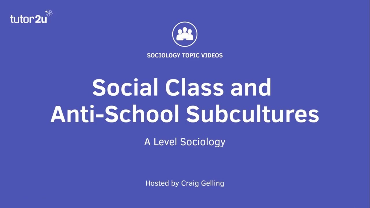 Relationships and Processes within Schools: Social Class and Anti-School Subcultures