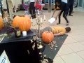 Halloween prank backfires