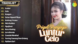 Download lagu PRIGEL PANGAYU - LUNTUR | FULL ALBUM LANGGAM CAMPURSARI GAYENG PRIGEL PANGAYU TERBARU 2025 mp3