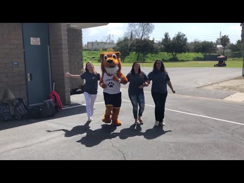 Lomarena Showcase Music Video