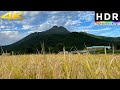 4K HDR Japanese countryside rice fields in Yufuin, Kyushu