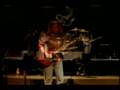 Todd Wolfe Band 