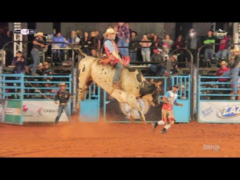 FUTURO (Cia. Tercio Miranda) - Melhor Touro de Maracaí 2019