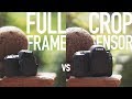 Full Frame vs Crop Sensor - What's the difference?