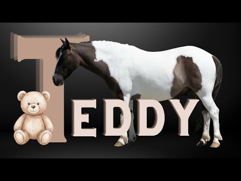youtube preview