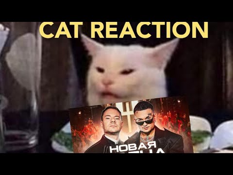 🐈 Vibing CAT REACTION to DG Smash & MORGENSTERN – Новая Волна (Full Music Video)