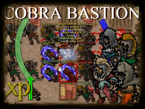 Tibia - EK 1550 Solo Hunt - Cobra Bastion  11.3kk/h (100%) + 1.9kk profit