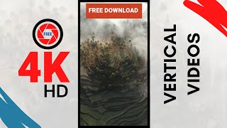 Download lagu Drone video of beautiful rice terraces | Drone Nature Footage|FREE non-copyright videos for creators mp3 Download lagu Drone video of beautiful rice terraces | Drone Nature Footage|FREE non-copyright videos for creators mp3