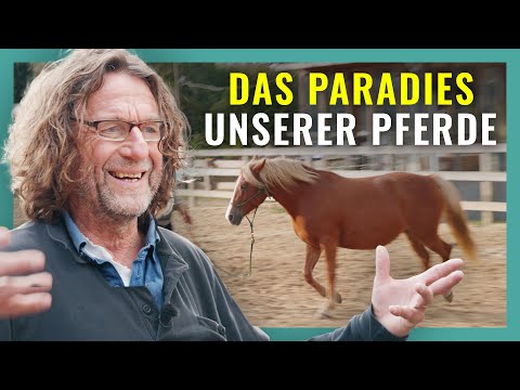 Our ADAC training area for horses 🚧🐎 | Uwe's farm tour