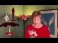 How to Clean a Hummingbird Feeder--A Fat Finch Video