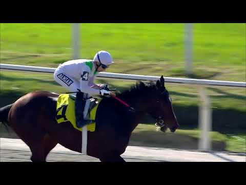 220820 c01 MARINO AFORTUNADO