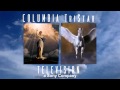 Columbia TriStar Television Logo