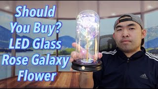 Should You Buy LED Glass Rose Galaxy Flower