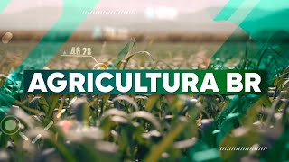 Perspectivas para o mercado da soja e milho em 2026