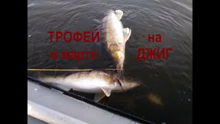 Отчет о рыбалке истра январь 2020