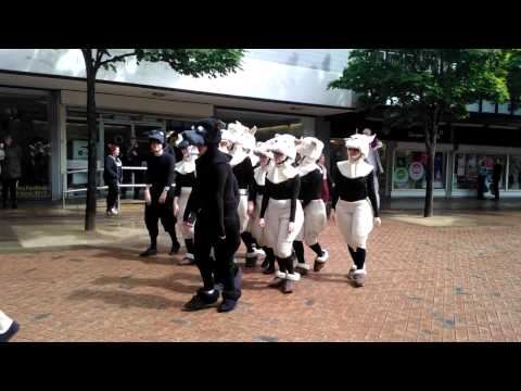 The Cyclops and her Naughty Sheep