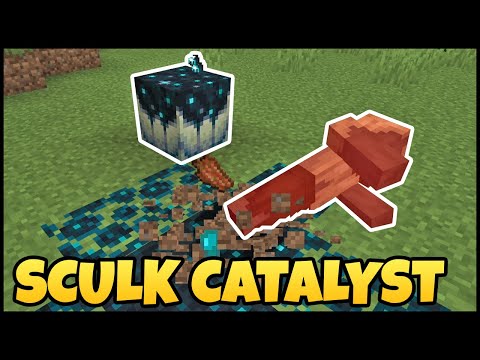 How To Use The SCULK CATALYST In MINECRAFT