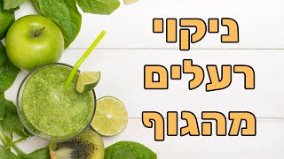 ניקוי רעלים מהגוף ומהנפש עם שלמה דהרמה