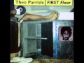 Theo Parrish - Paradise Architects
