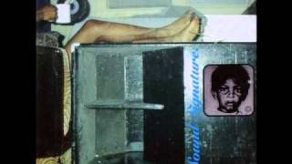 Theo Parrish - Paradise Architects