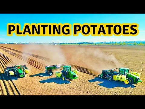 Planting Potatoes! 1200 acres in 7 days!