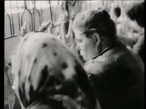 Прев'ю відео