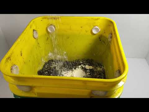 Get Rid of Unwanted Pests in Your Worm Farm with Diatomaceous Earth