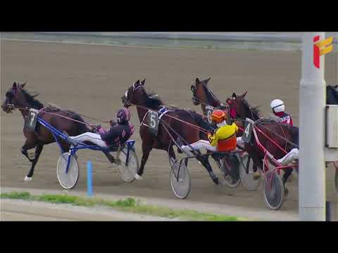 VI Corsa del 28 Gennaio 2022 - 4 Anni - Metri 2000 - Gara Centrale