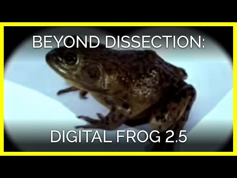 download lagu mp3 mp4 Digital Frog, download lagu Digital Frog gratis, unduh video klip Digital Frog