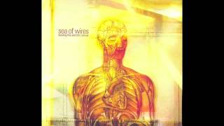 Sea of Wires - The Sunglass (feat. Bill Nelson)