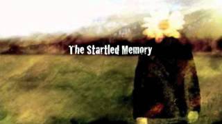 The Startled Memory-fields of empty people